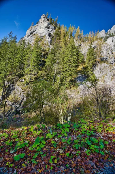 Vertical Salzkammergut Mountains Autumn Sunny Day Blue Sky — Stock Photo, Image