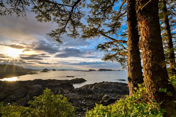 Kırık Ada Ucluelet Kanada Üzerinden Bakan Vahşi Bir Pasifik Patikası — Stok fotoğraf