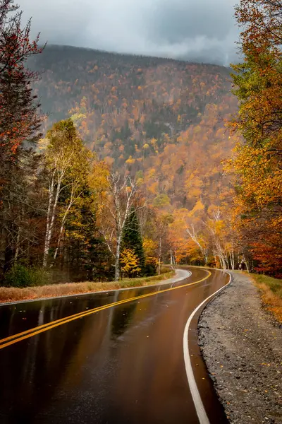 Tiro Vertical Uma Bela Vista Estrada Que Atravessa Floresta Outono — Fotografia de Stock