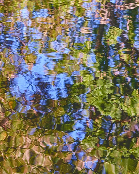 Eine Vertikale Aufnahme Eines Flusses Mit Blättern Die Sich Darin — Stockfoto