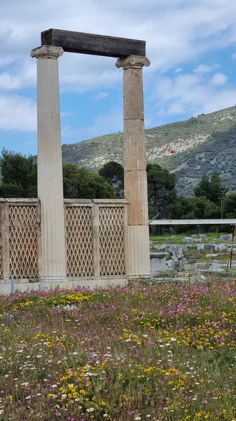 Antica Colonna Con Una Bella Aiuola Colorata Nel Giardino Archeologico — Foto Stock