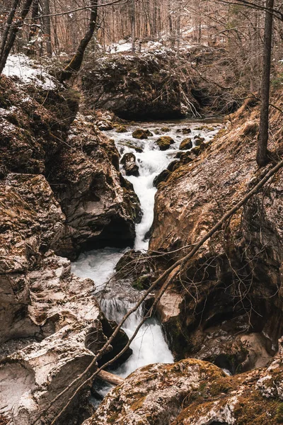 峡谷中一条流过岩石和悬崖峭壁的溪流的垂直镜头 — 图库照片