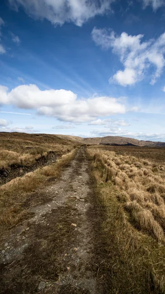 Eine Wunderschöne Landschaft Einer Straße Der Wildnis Morgen — Stockfoto