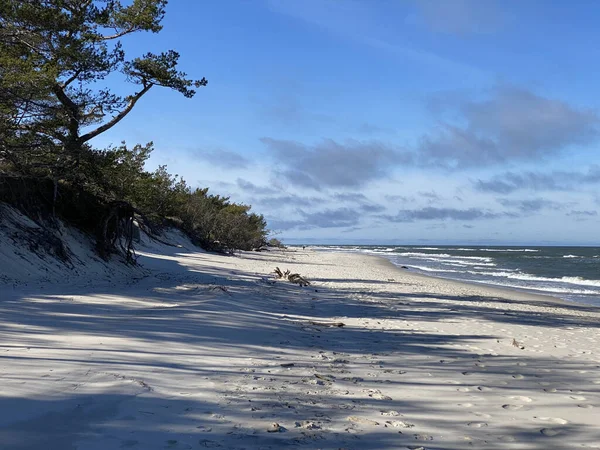 Closeup Shot White Sand Beach Stock Picture