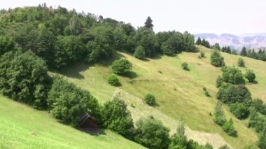 Endonezya, Raja Ampat 'ta serin bir esinti ile yüksek tepelerdeki savananın harika manzarası