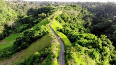 Endonezya, Raja Ampat 'ta serin bir esinti ile yüksek tepelerdeki savananın harika manzarası