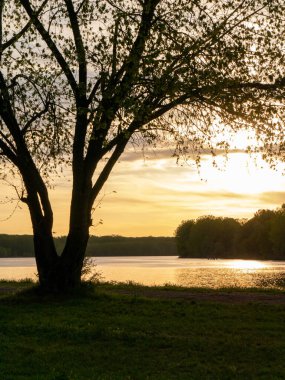 San Nazzaro, Monticelli, Piacenza, Emilia Romagna İtalya 'da gün batımı Po nehri parkında
