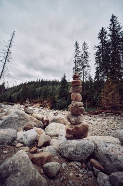 Kayalık arazide bir ormana karşı üst üste yığılmış kayalardan oluşan dikey bir kare.