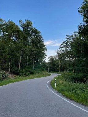 Ormanın ortasında, ağaçlar ve otlarla çevrili uzun bir asfalt yola yakın çekim.