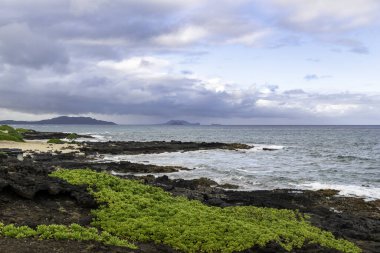 Waikiki, Hawaii, ABD 'de mavi bulutlu gökyüzünün altında kayalık bir sahil manzarası.