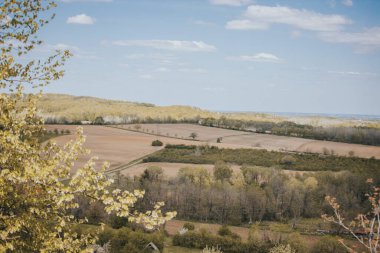 Ağaçlarla dolu güzel çayırlar mavi, bulutlu bir gökyüzünün altında.