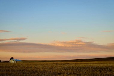 Gün batımında evin arka planında yeşillik manzarası
