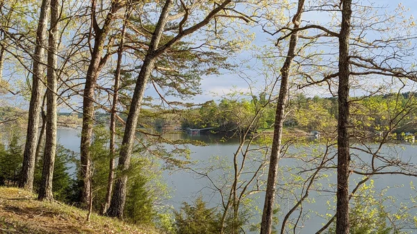 Leesville Lake View Shot Picnic Area Dam — стоковое фото