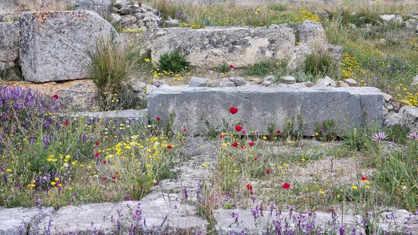 Colorful Flower Bed Archaeological Garden Epidaurus Greece — Stock Photo, Image
