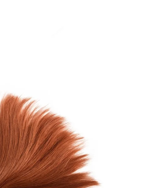 Plan Vertical Cheveux Bruns Isolés Sur Fond Blanc Avec Espace — Photo