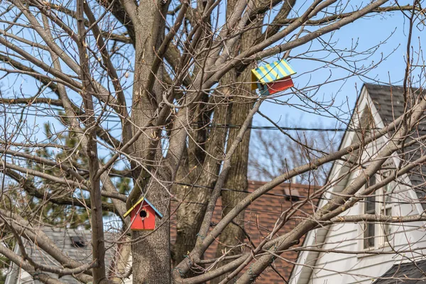 Hut Type Bird Nests Hung Tree Branches Sunny Day — Stock Photo, Image