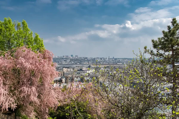 Paris Stadtpanorama Vom Hügel Montmartre Typische Dächer — Stockfoto
