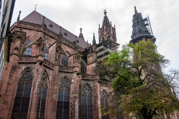 Låg Vinkel Bild Freiburg Munster Katedralen Centrum Tyskland Europa — Stockfoto