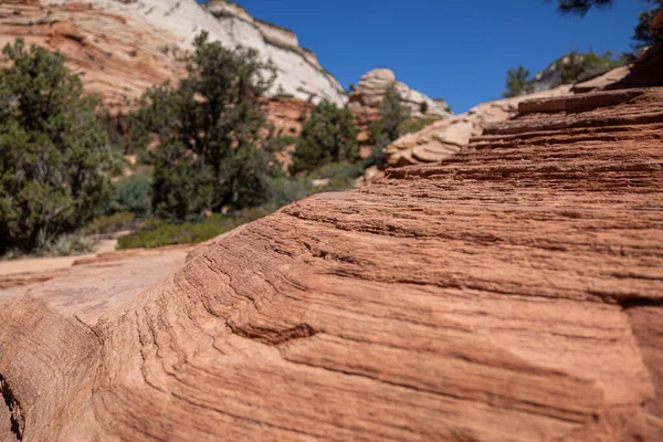 Une Vue Panoramique Sur Les Falaises Rocheuses Les Arbres Sous — Photo