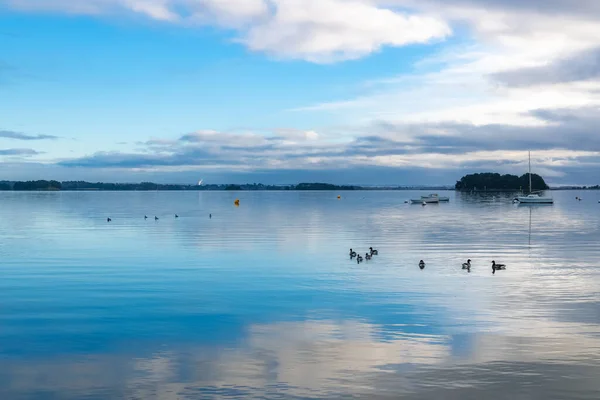 Bretagne Ile Aux Moines Île Dans Golfe Morbihan Grogne Sur — Photo