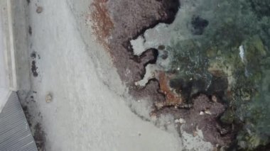 Mallorca Kayalık Sahili, İspanya 'nın deniz suyuna ve kayalık kıyılara giden insansız hava aracı görüntüsü.