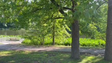 Göl ve yemyeşil banklarla çevrili bir park manzarası.