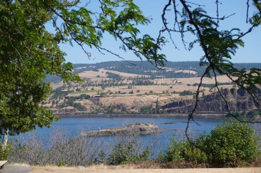 Güneşli bir günde yeşil ağaçlarla kaplı tepelere karşı manzaralı bir göl.