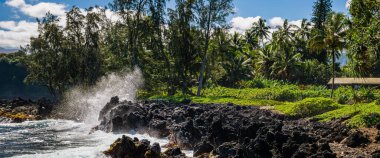 Maui 'de Ke' anne kıyısı boyunca volkanik kayalıklarda sörf sahnesi