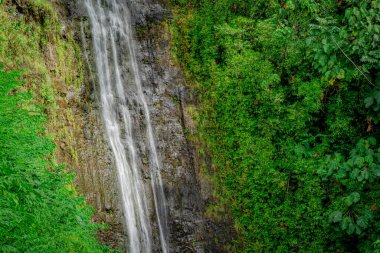 Oahu Hawai 'deki muhteşem Manoa Şelalesi Kapanışı