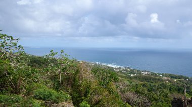 Güneşli bir günde, ormanın yakınındaki güzel bir gölün havadan görünüşü.