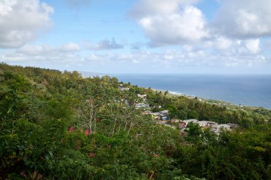 Güneşli bir günde, ormanın yakınındaki güzel bir gölün havadan görünüşü.