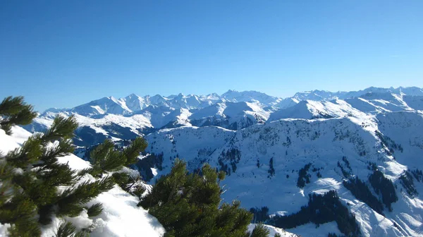 Een Bergtop Bij Het Dorp Fieberbrunn Oostenrijk — Stockfoto