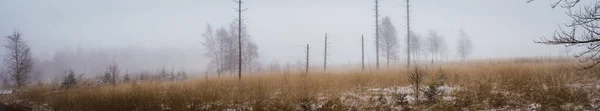 Panoramic Scenery Field Dry Grass Covered Light Snow Fog Germany — Stock Photo, Image