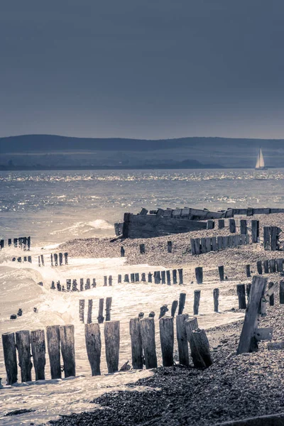 Вертикальный Снимок Маленьких Деревянных Заборов Пляже Пепе Хэмпшир — стоковое фото