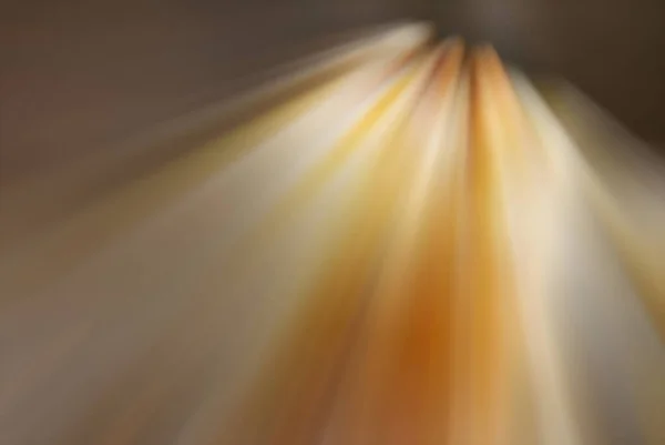 Turuncu Tonlarda Renkli Spektrumla Soyut Bulanık Arkaplan — Stok fotoğraf