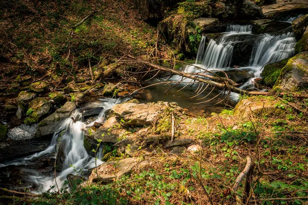 Een Kleine Waterval Mossige Rotsen Het Bos — Stockfoto