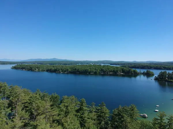 Piękny Widok Jezioro Las Pod Czystym Błękitnym Niebem — Zdjęcie stockowe