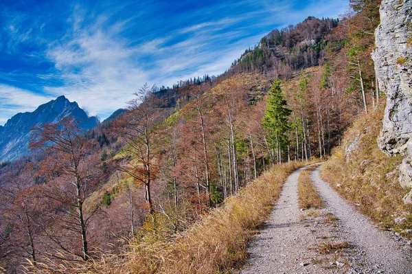 Uma Vista Panorâmica Caminho Nas Montanhas Salzkammergut Durante Outono Dia — Fotografia de Stock