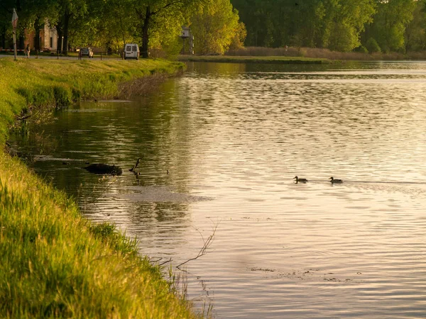 San Nazzaro, Monticelli, Piacenza, Emilia Romagna İtalya 'da gün batımı Po nehri parkında