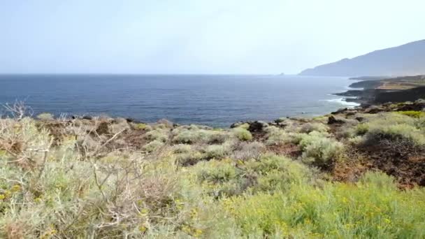 Côte Volcanique Paysage Avec Des Buissons Verts Face Océan Atlantique — Video