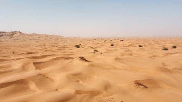 Sanddynerna Öken Saudiarabien — Stockvideo