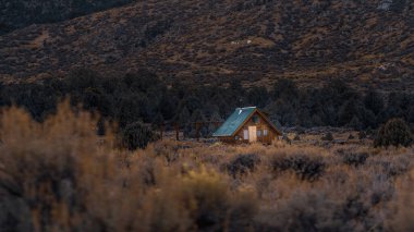 Günbatımında Sequoia Ulusal Ormanı 'nın eski evleriyle güzel bir görüntüsü.