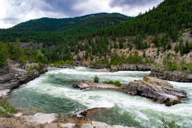 Ağaçlarla çevrili güzel bir nehir manzarası