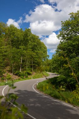 A vertical shot of a highway surrounded by trees.