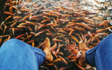 Küçük altın balıklarla dolu gölde bir adamın ayakları.