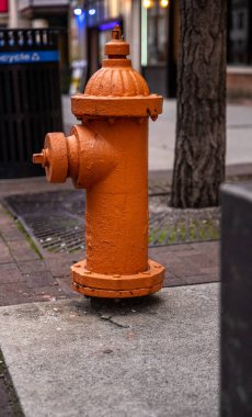 Turuncu bir yangın musluğunun güzel bir görüntüsü.