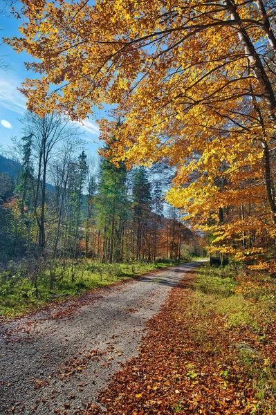 Vertical Path Salzkammergut Mountains Autumn Sunny Day — Stock Photo, Image
