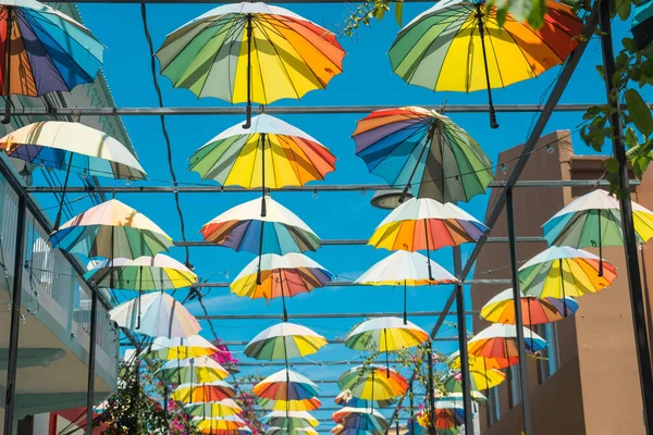 ドミニカ共和国 プエルト プラタのカラフルな傘で飾られた通り — ストック写真