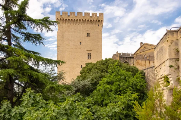 Avignon Der Papstpalast Wunderschönes Monument Südfrankreich — Stockfoto
