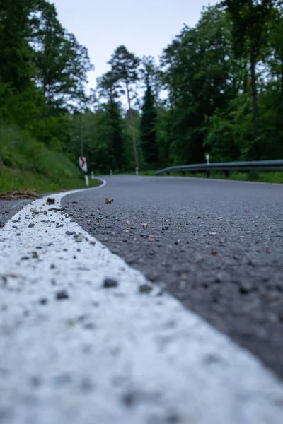 Een Verticaal Lager Schot Van Een Rijweg Omringd Door Bomen — Stockfoto